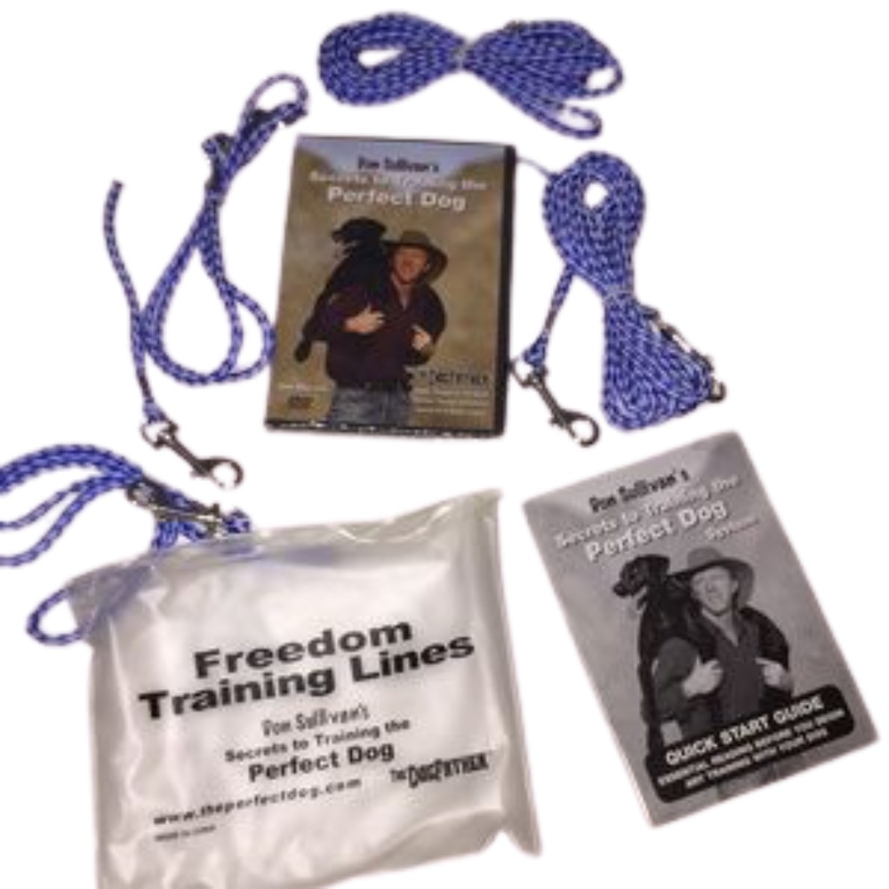 dog training kit